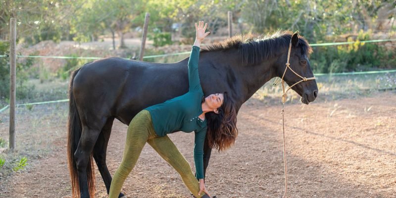 caballo-y-triangulo